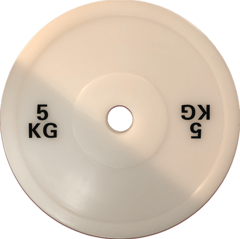 G2 Teknikkskive 5kg