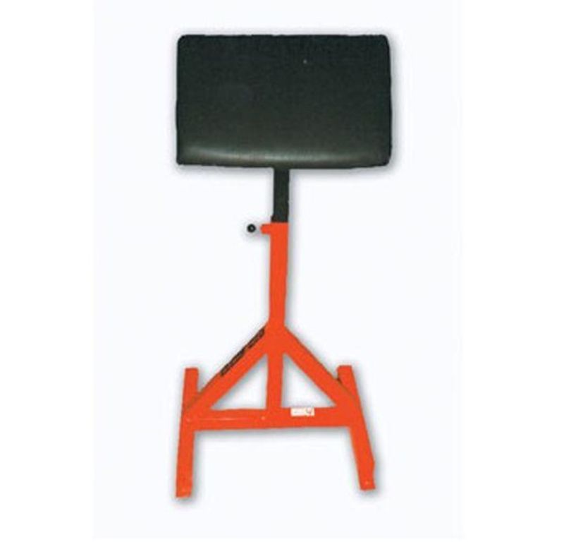 GYM2000 Stående Curl