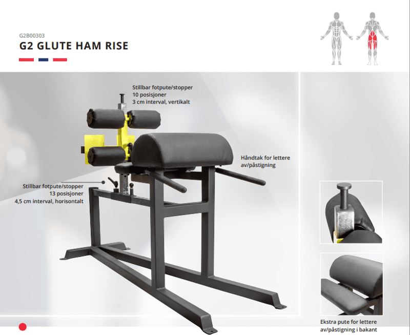 GYM2000 Glute Ham Rise