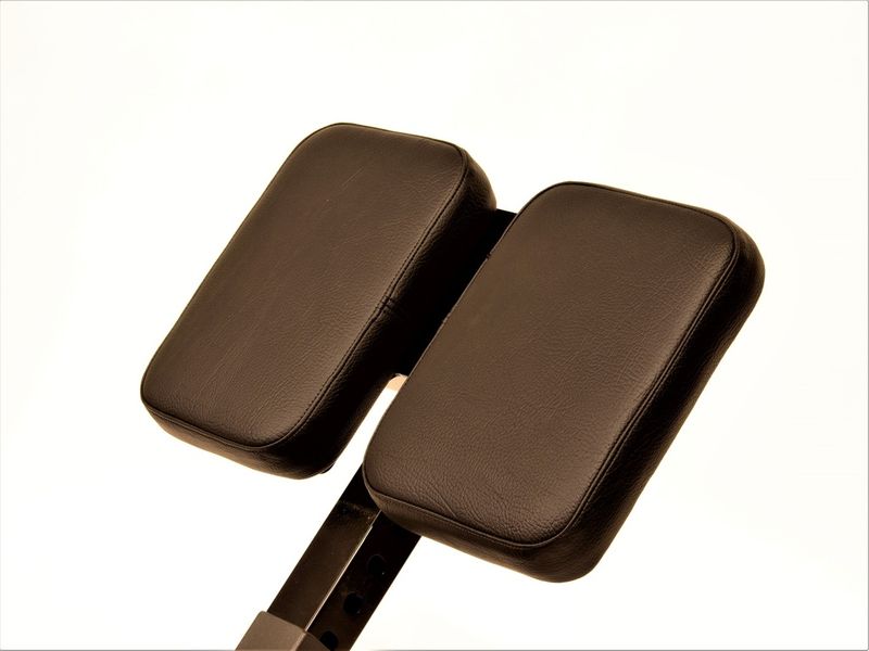 GYM2000 Rygghev 45gr.