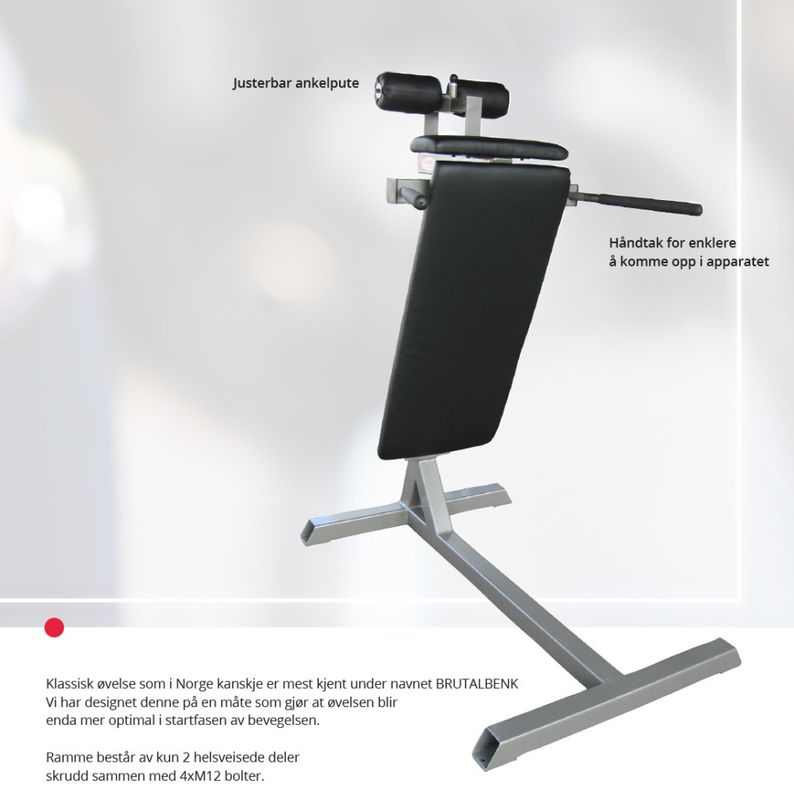 GYM2000 Brutalbenk Skrå