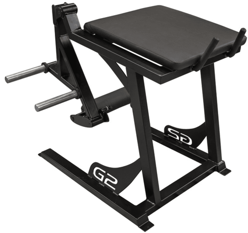 GYM2000 Reverse Hyper