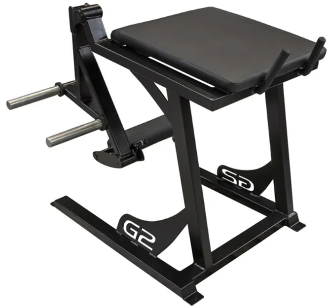 Hovedbilde GYM2000 Reverse Hyper